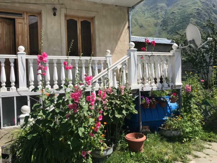 Nino'S Guest House Kazbegi Εξωτερικό φωτογραφία